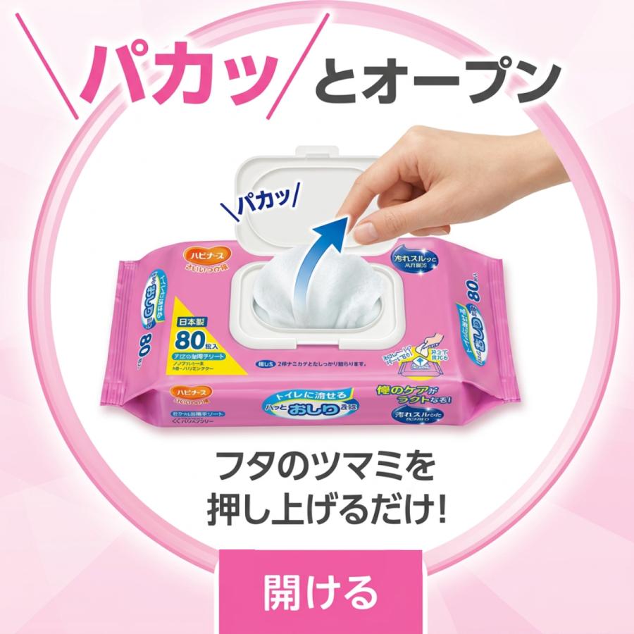 おしりふき 大人用おしりふき おしり拭き 介護 厚手 介護用おしりふき