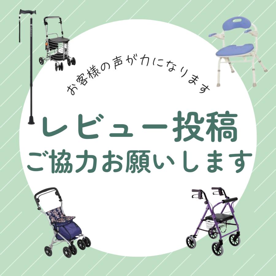 フジホーム 杖 介護 つえ 人気杖 ハンドレールステッキII WB5134
