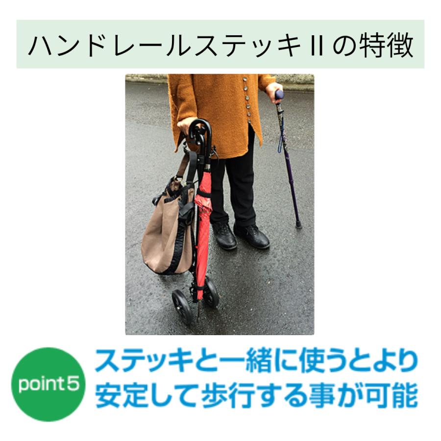 フジホーム 杖 介護 つえ 人気杖 ハンドレールステッキII WB5134