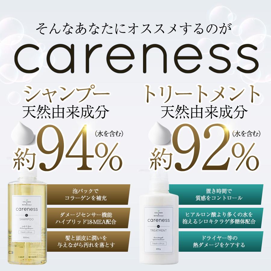 公式 ケアネス 美容室専売 トリートメント 400g 大ボトル サロン
