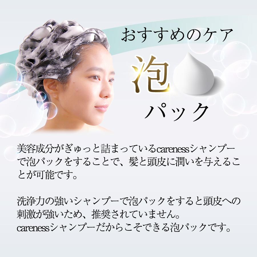 公式 ケアネス 美容室専売 シャンプー 頭皮ケア コラーゲン1000ml 大