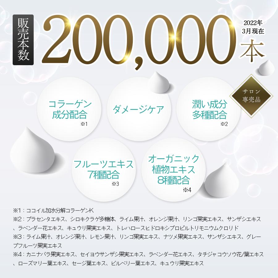 公式 ケアネス 美容室専売 シャンプー 頭皮ケア コラーゲン1000ml 大