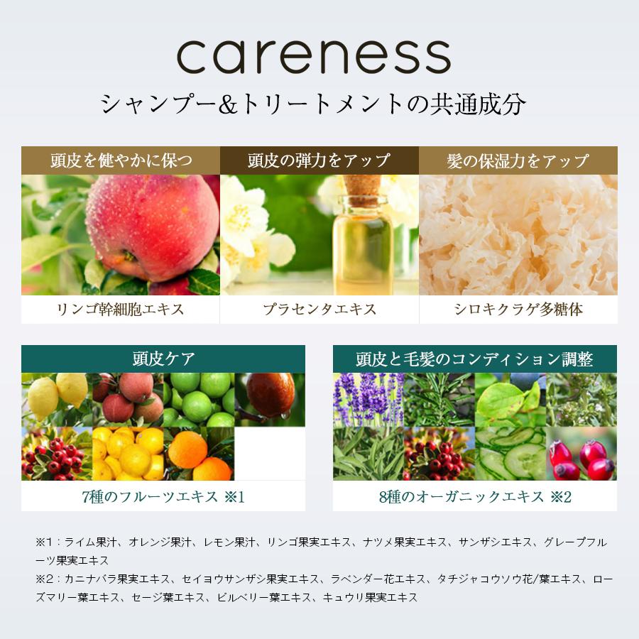公式 ケアネス 美容室専売 トリートメント 1000g 大容量 業務用 プロ用