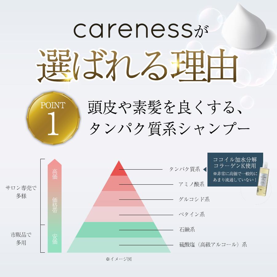 公式 ケアネス 美容室専売 トリートメント 1000g 大容量 業務用 プロ用
