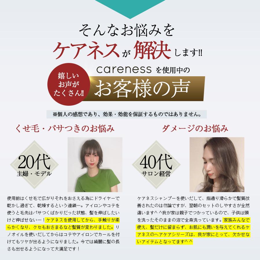 公式 シャンプー トリートメント 小ボトル ヘアオイル ３点セット 美容室専売 ケアネス careness FC ダメージケア 泡パック 頭皮ケア コラーゲン ボタニカル |  | 13
