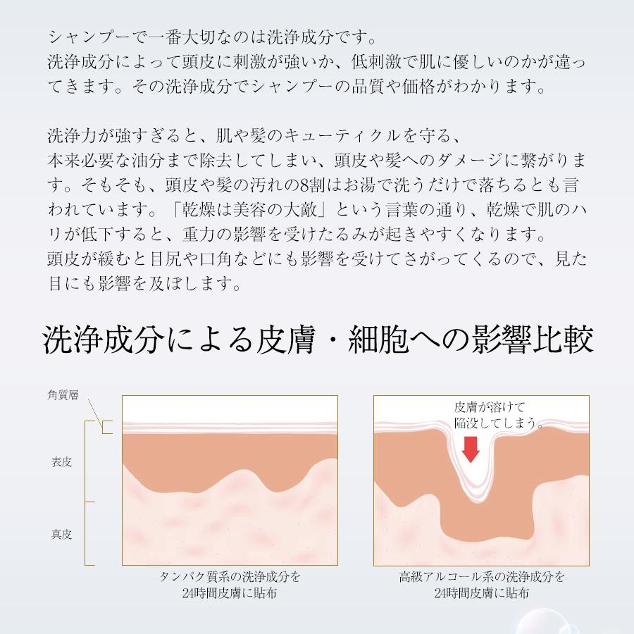 公式 シャンプー トリートメント セット ツヤツヤ ダメージケア