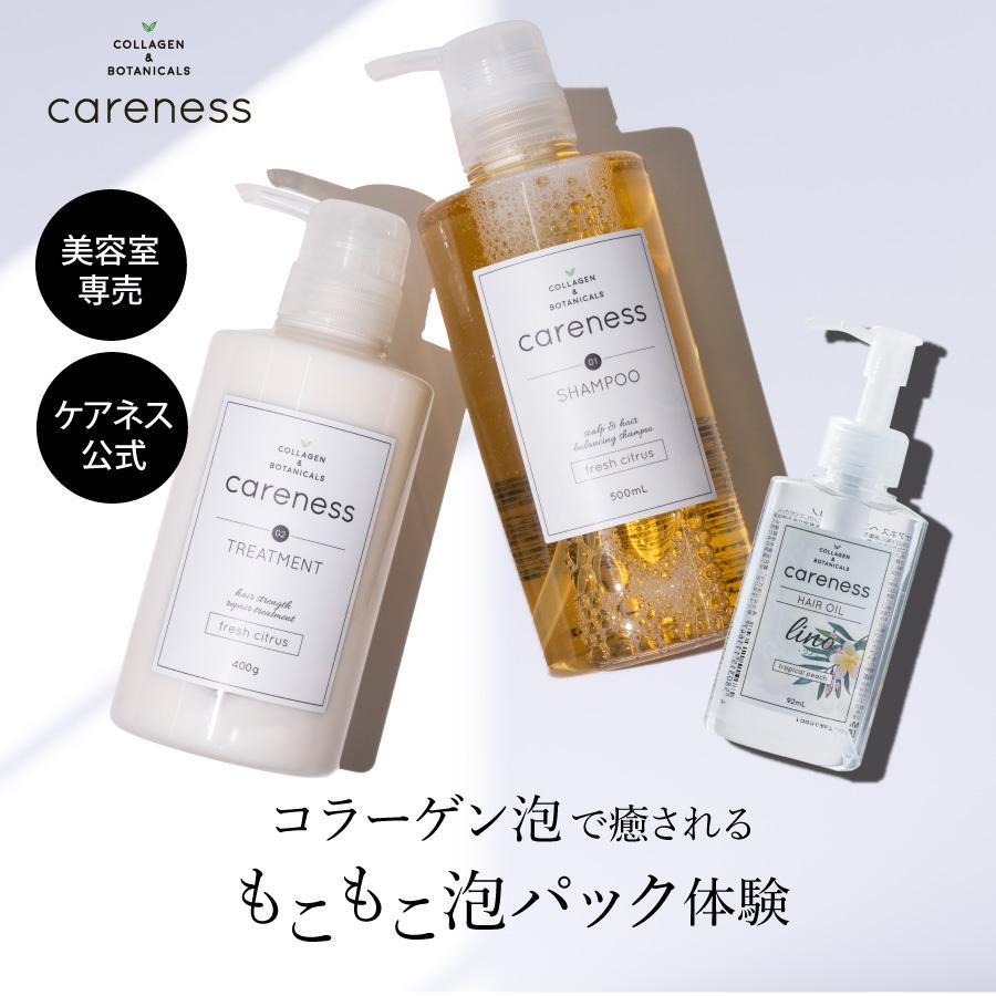 ケアネス セット CARENESS テラケア トリートメント 1000ml 1個