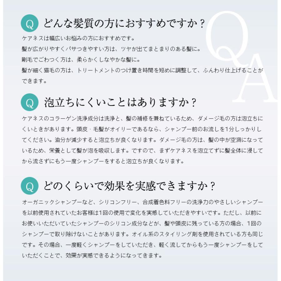 公式 ケアネス careness ヘアケア 大ボトル ３点セット 美容室専売 サロン ダメージケア 泡パック 頭皮ケア コラーゲン ボタニカル_18