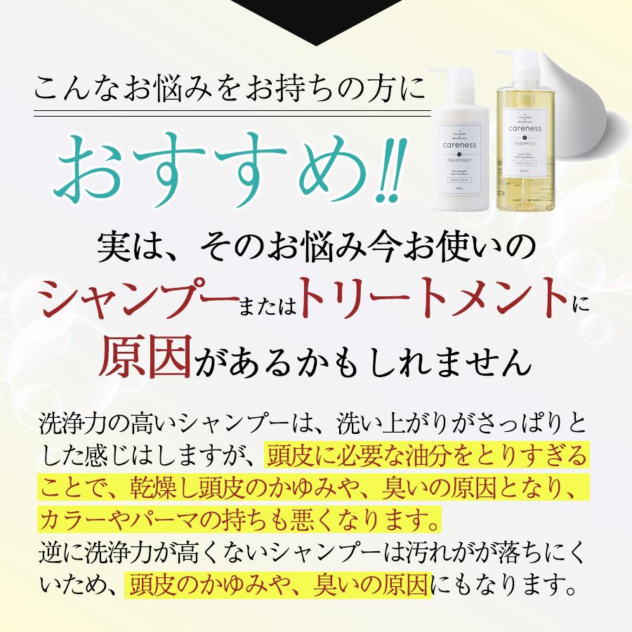 公式 ケアネス careness ヘアケア 大ボトル ３点セット 美容室専売 サロン ダメージケア 泡パック 頭皮ケア コラーゲン ボタニカル_4