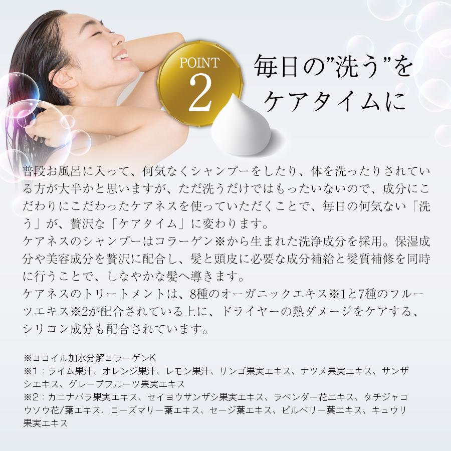 公式 ケアネス careness ヘアケア 大ボトル ３点セット 美容室専売 サロン ダメージケア 泡パック 頭皮ケア コラーゲン ボタニカル_8