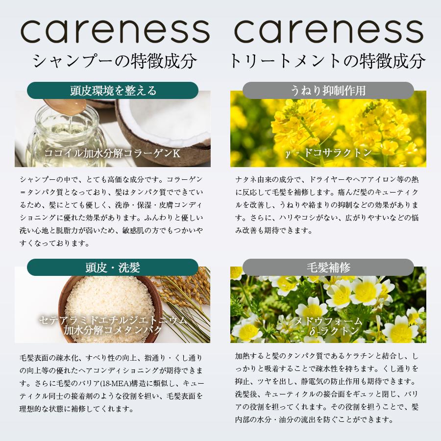 公式 ケアネス careness ヘアケア 大ボトル ３点セット 美容室専売 サロン ダメージケア 泡パック 頭皮ケア コラーゲン ボタニカル_9