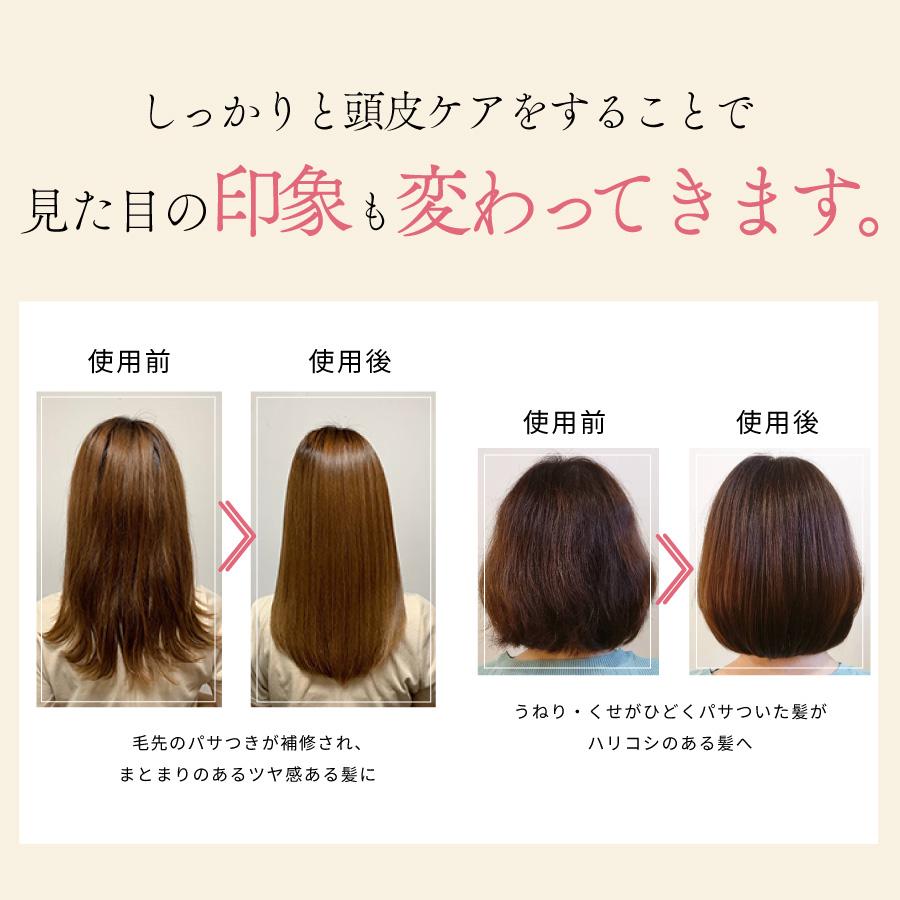 公式 ケアネス careness シャンプー トリートメント 小ボトル フローラルの香り 美容室専売 サロン コラーゲン ふけ・かゆみを抑える 泡パック |  | 16