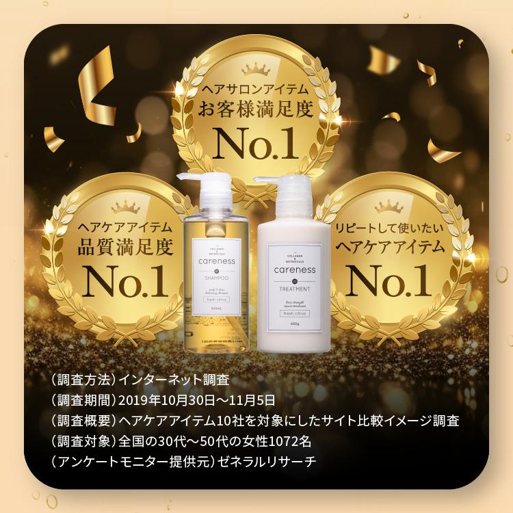 公式 ケアネス careness 美容室専売 シャンプー トリートメント 大ボトル FF サロン ダメージケア 泡パック 頭皮ケア コラーゲン ボタニカル |  | 08