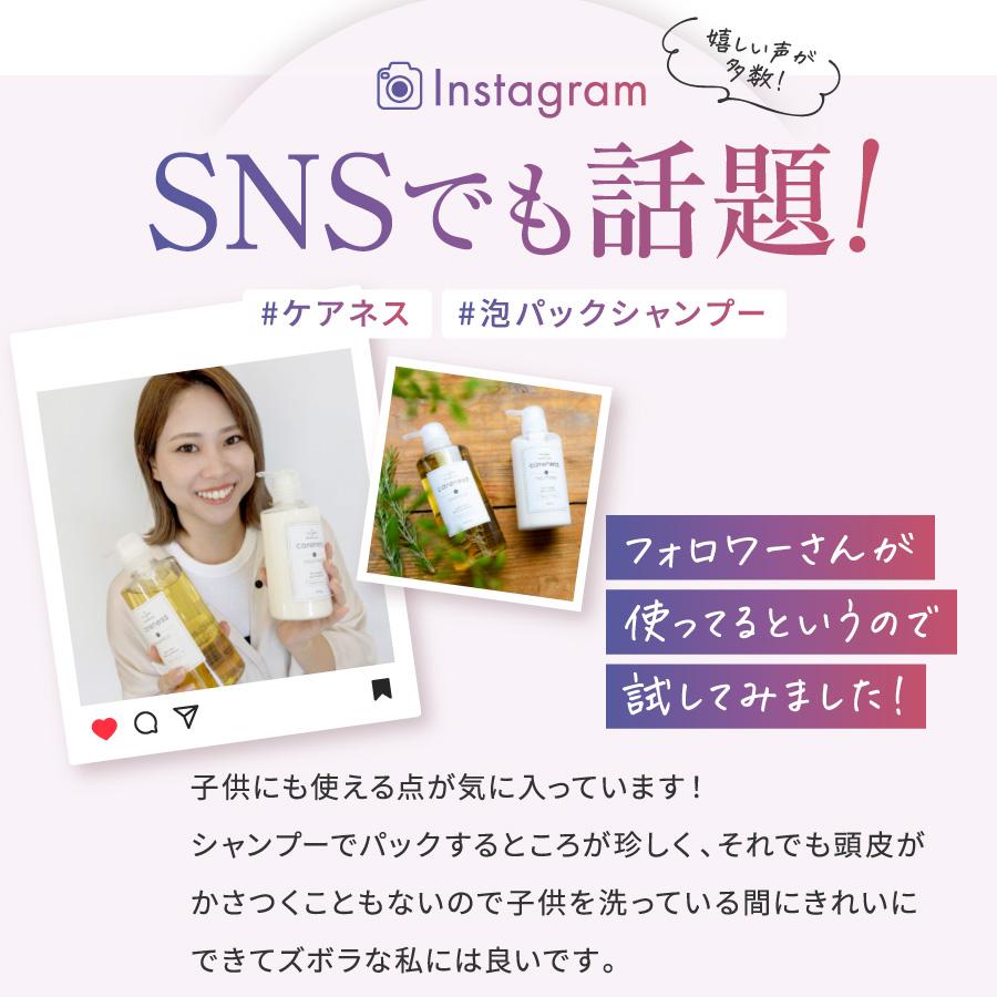 公式 ケアネス carenes ヘアケア 小ボトル ３点セット 美容室専売 サロン ダメージケア 泡パック 頭皮ケア コラーゲン ボタニカル |  | 12