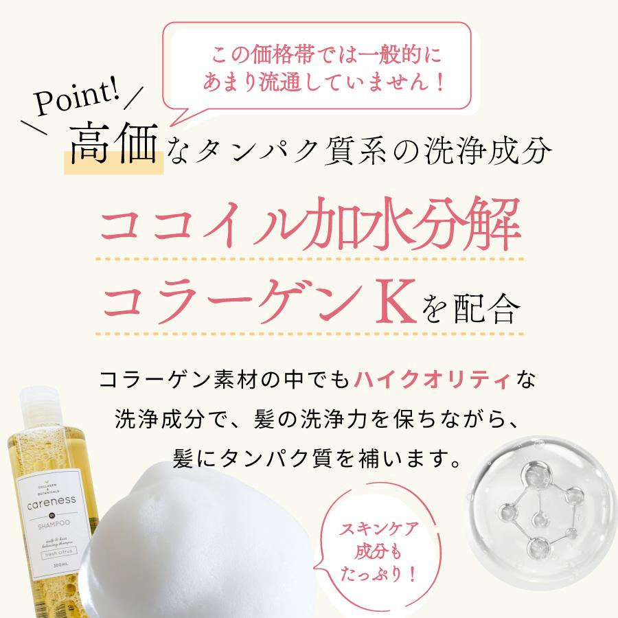 公式 ケアネス carenes ヘアケア 小ボトル ３点セット 美容室専売 サロン ダメージケア 泡パック 頭皮ケア コラーゲン ボタニカル |  | 14
