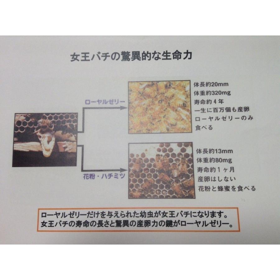 4本入1箱】ゼリアのヘルスローヤルゼリー200 1本約2ヶ月分180粒
