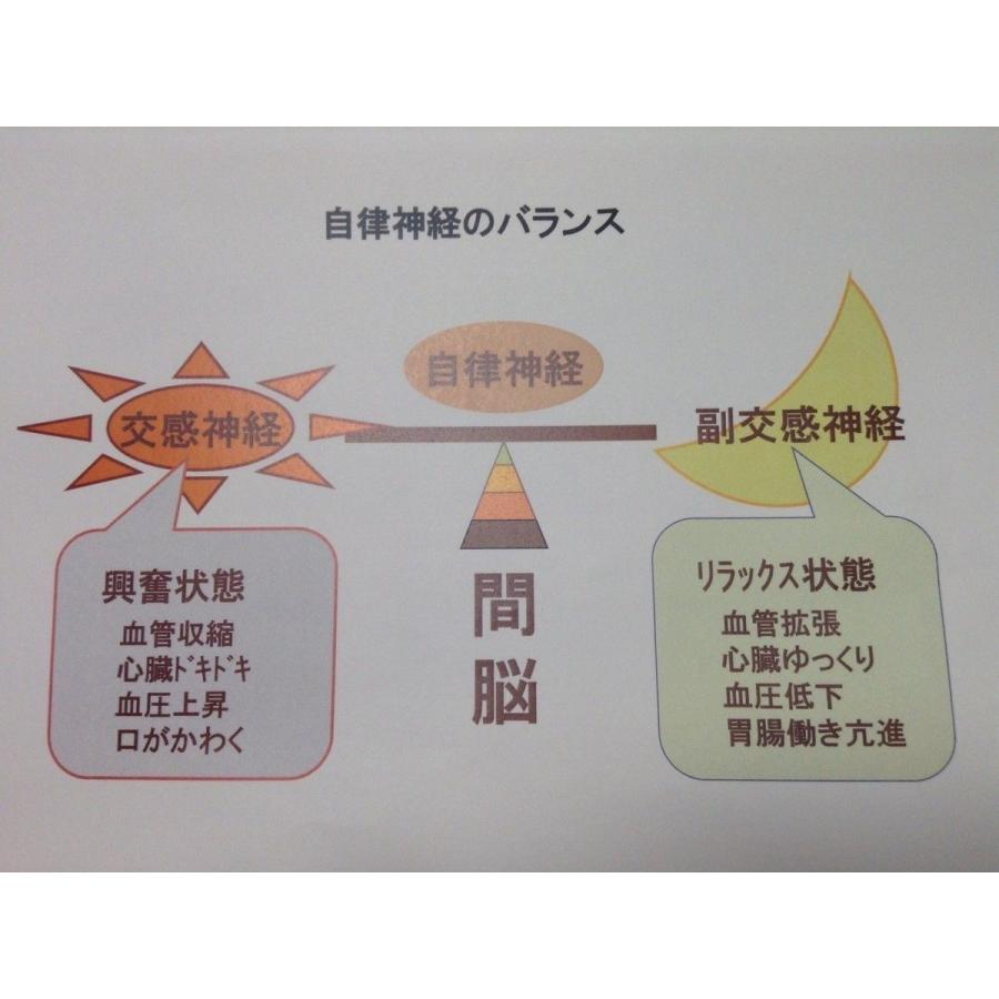 4本入1箱】ゼリアのヘルスローヤルゼリー200 1本約2ヶ月分180粒