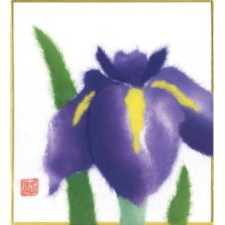 ヒロ　ちぎり絵教材 Amazon.co.jp: 90歳セツの新聞ちぎり絵 : 木村 セツ, 木村 セツ