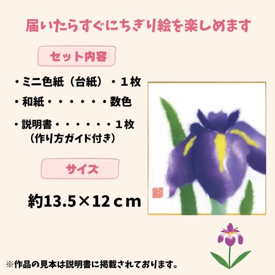 ちぎり絵 しょうぶ 手作りキット ミニ色紙 和紙 春の手芸 高齢者 介護