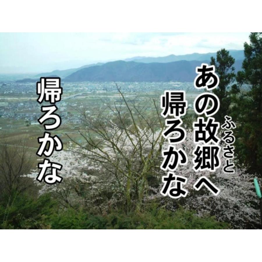 高齢者 音楽 カラオケDVD懐かしの名曲集Vol.1 : 高齢者