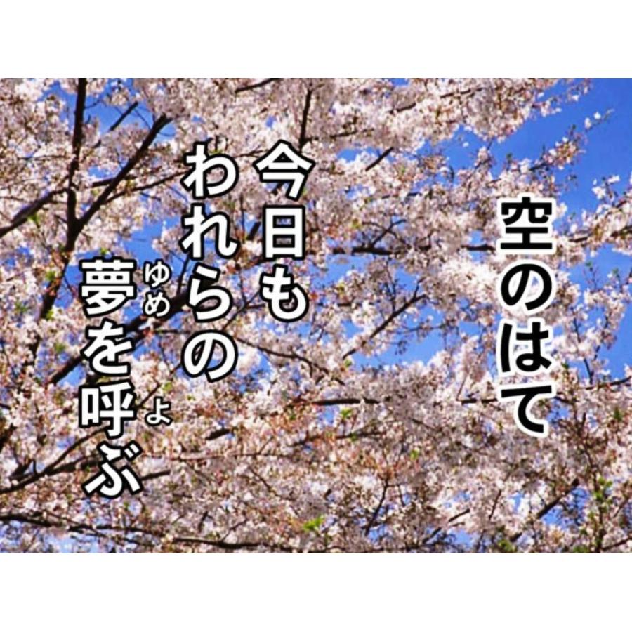 高齢者 音楽 カラオケDVD懐かしの名曲集Vol.3 : 脳トレ・手芸品