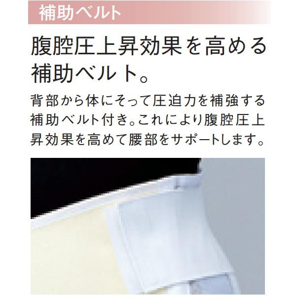 日本シグマックス SS~5L【速達】マックスベルト me2 シグ 日本シグマックス SS~5L【速達】マックスベルト me2 シグ