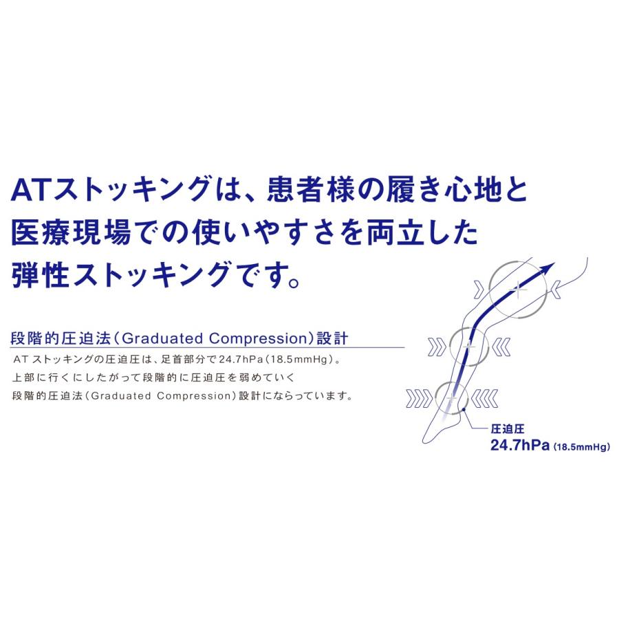 日本シグマックス 装着補助スリッパプレゼント！【ポスト投函】医療用