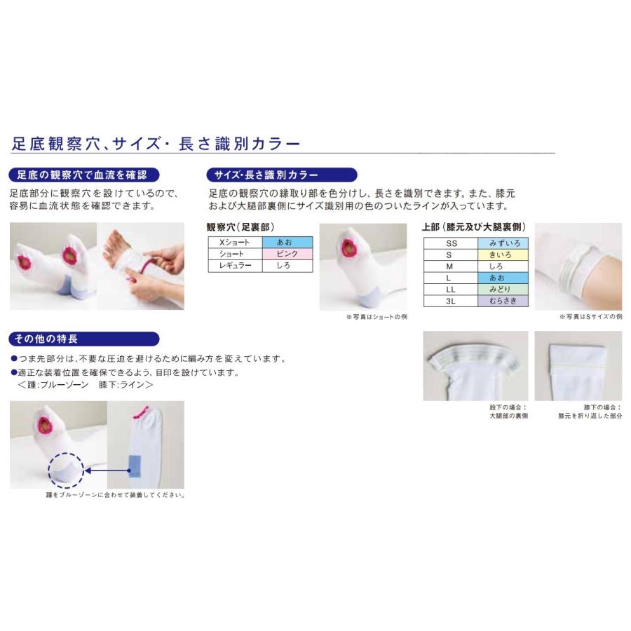 日本シグマックス 装着補助スリッパプレゼント！【ポスト投函】医療用