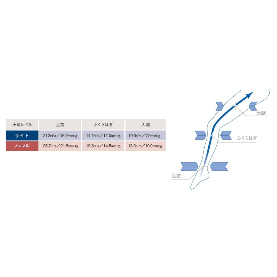 【ポスト投函】医療用 弾性ストッキング CVストッキング ノーマル 膝下【28.7hPa/21.5mmHg】SIGMAX シグマックス｜careshop-sakura｜04