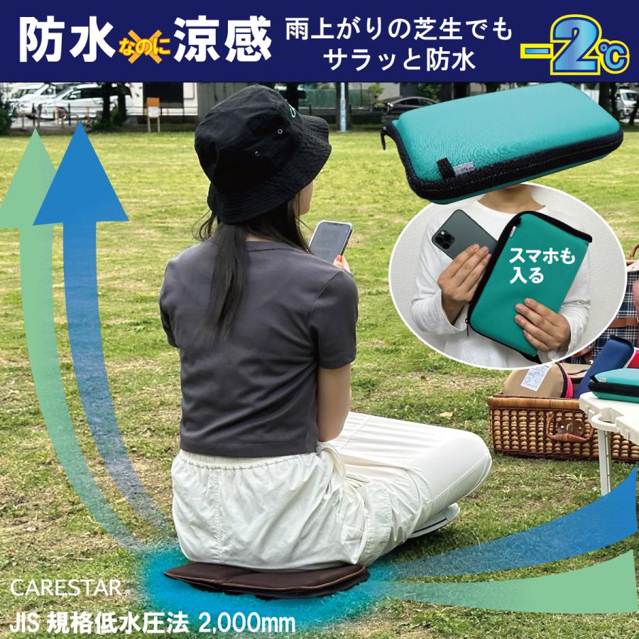 CARESTAR（ケアスター） 接触冷感 ミニクッション 通気性 メッシュ