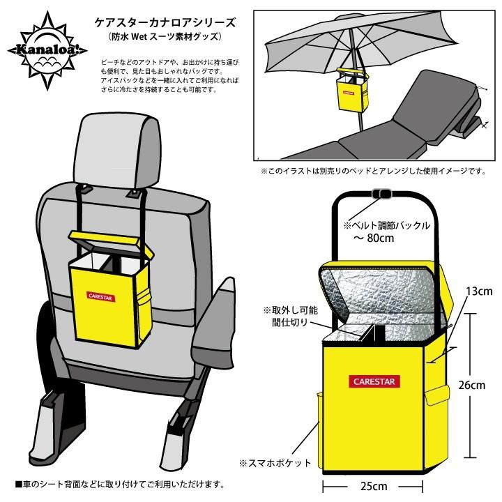 クーラーバッグ 保冷 保温 バッグ 防水 ブルー カナロア ランチバッグ キャンプ バーベキュー 小型 小さい 大容量 携帯 車 カー シート CARESTAR｜carestar｜10