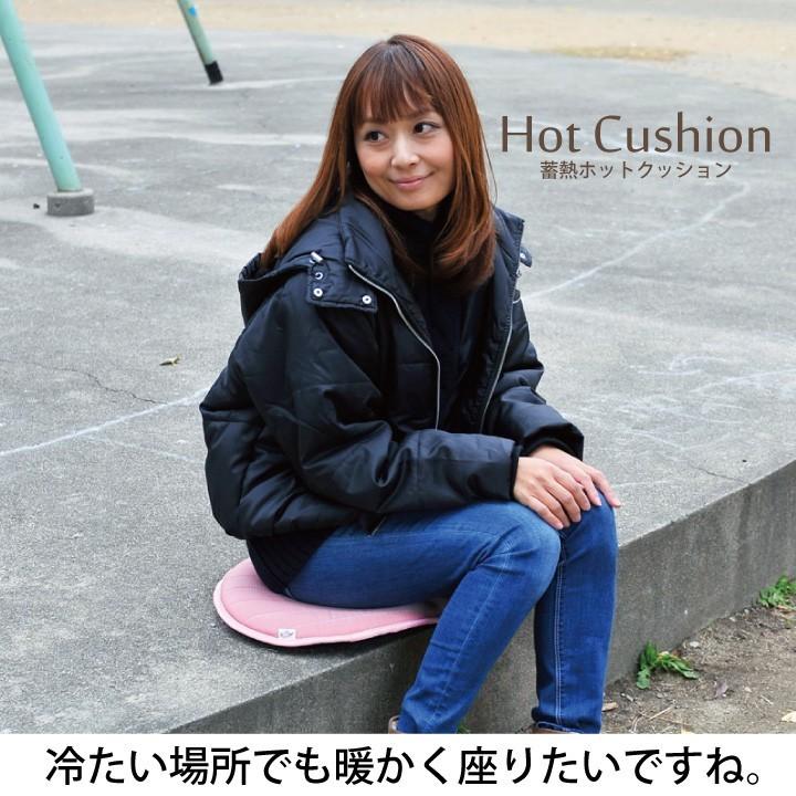 CARESTAR（ケアスター） 蓄熱素材であったか ホット クッション 座布団