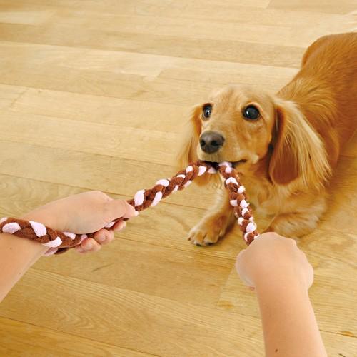 アドメイト ロープtoy チュロス Ssサイズ 犬のおもちゃ 犬用おもちゃ ロープ 犬用品 ペット ペットグッズ ペット用品 オモチャ カレッツァ 犬用品 ドッグフード 通販 Yahoo ショッピング