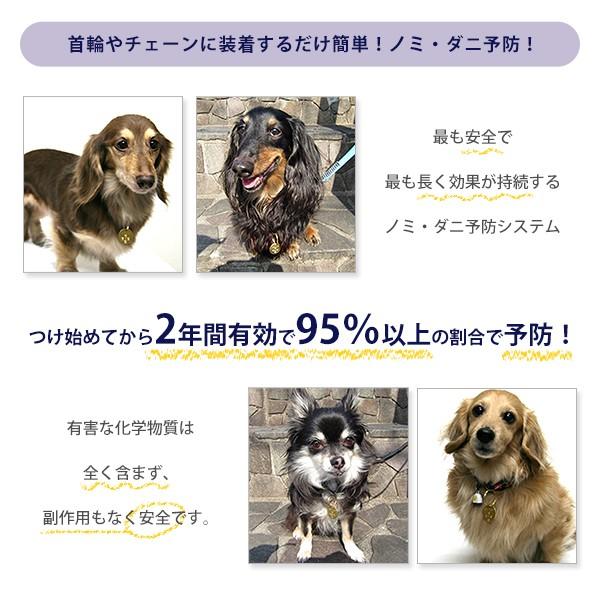 Catan Dog S キャタンドッグ メタル カタンドッグ ノミ ダニ対策 撃退 忌避 犬用品 猫用品 ペット用品 10024331 カレッツァ 犬用品 ドッグフード 通販 Yahoo ショッピング