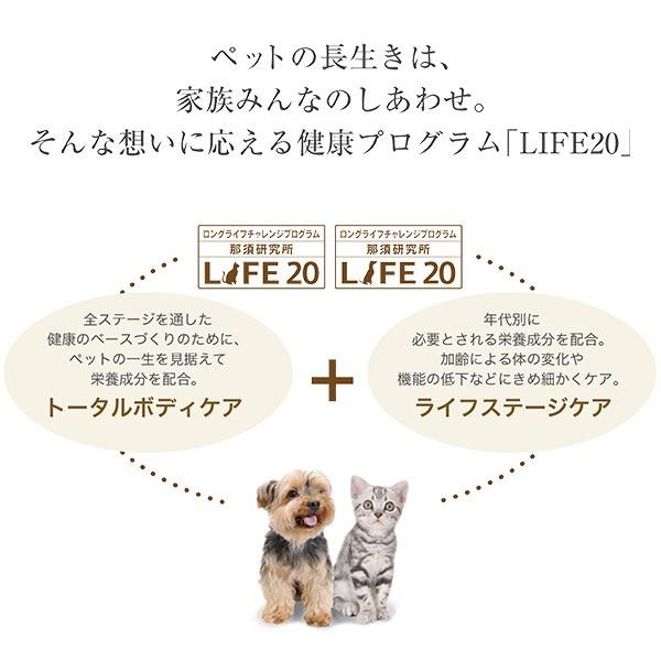 日清ペットフード Jpスタイル 和の究み 小粒 11歳から 4 2kg ドッグフード ドライフード 成犬用 アダルト ジェーピースタイル 犬用品 ku カレッツァ 犬用品 ドッグフード 通販 Yahoo ショッピング