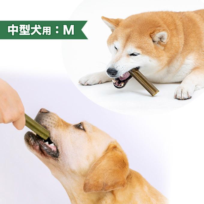 犬用おやつ Happy Days 中型犬用 Olivepet ナチュラルデンタルガム M 8本入り ハッピーデイズ グルテンフリー 無添加 ペットプロ ku カレッツァ 犬用品 ドッグフード 通販 Yahoo ショッピング