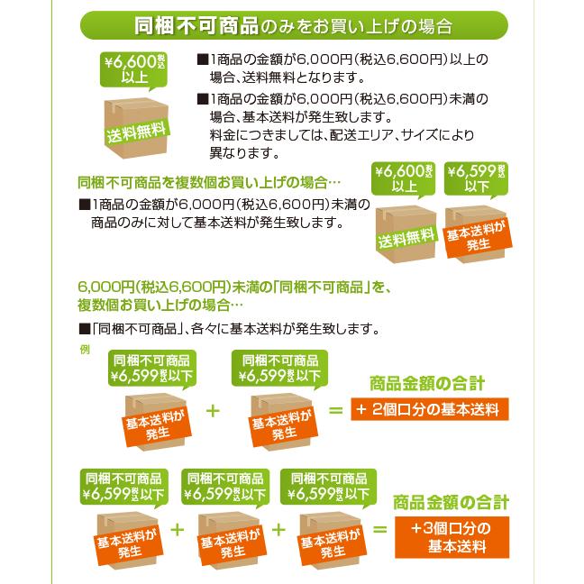 シンシア ラタンソファーベッド (ベッド・マット/ペットベッド/自然素材(ラタン)/ナチュラル(Natural)/送料無料/送料込・送料込み)|carezza|02