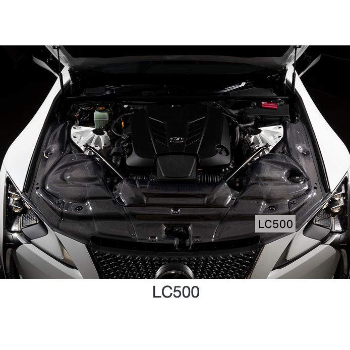 BLITZ 【BLITZ/ブリッツ】カーボンインテークシステム CARBON INTAKE 