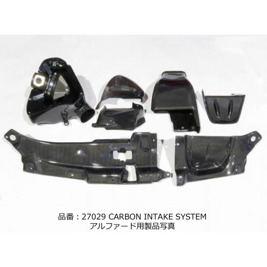 BLITZ 【BLITZ/ブリッツ】カーボンインテークシステム CARBON INTAKE 