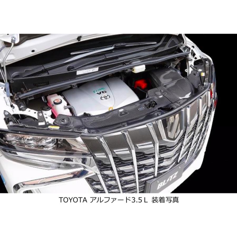 BLITZ 【BLITZ/ブリッツ】カーボンインテークシステム CARBON INTAKE 