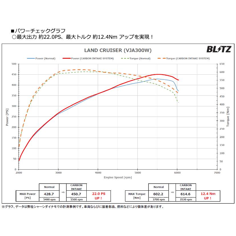 BLITZ（ブリッツ） BLITZ/ブリッツカーボンインテークシステム<br