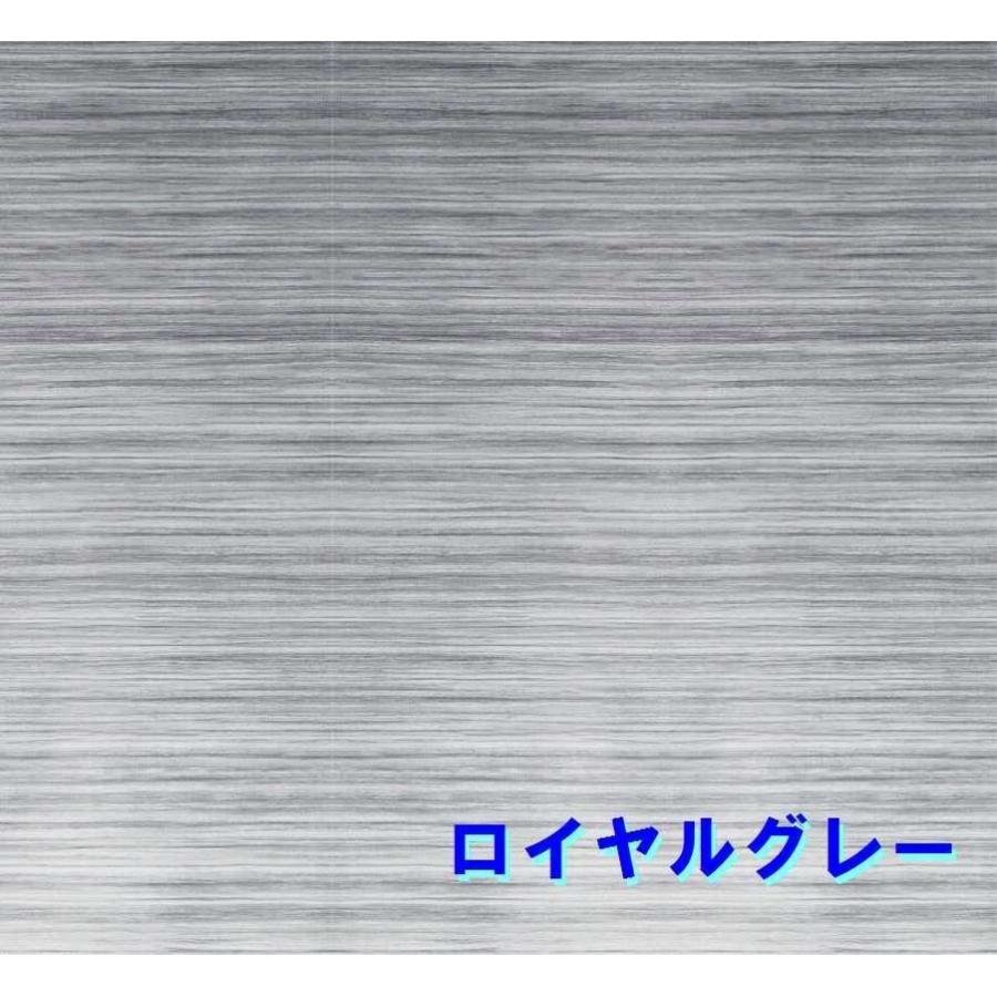 FIAMMA フィアマ サイドオーニング F45S ディープブラック 350