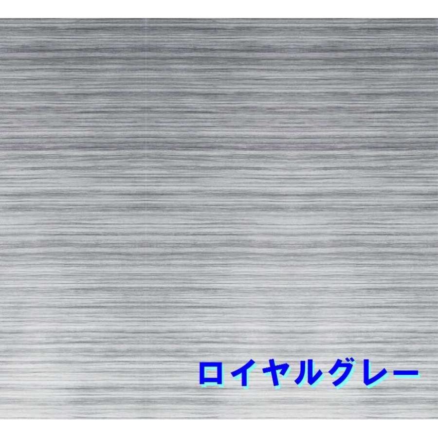 FIAMMA フィアマ サイドオーニング F45S 400 ロイヤルグレー