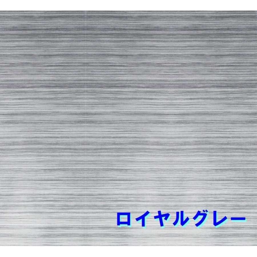 FIAMMA フィアマ サイドオーニング F45S ディープブラック 260