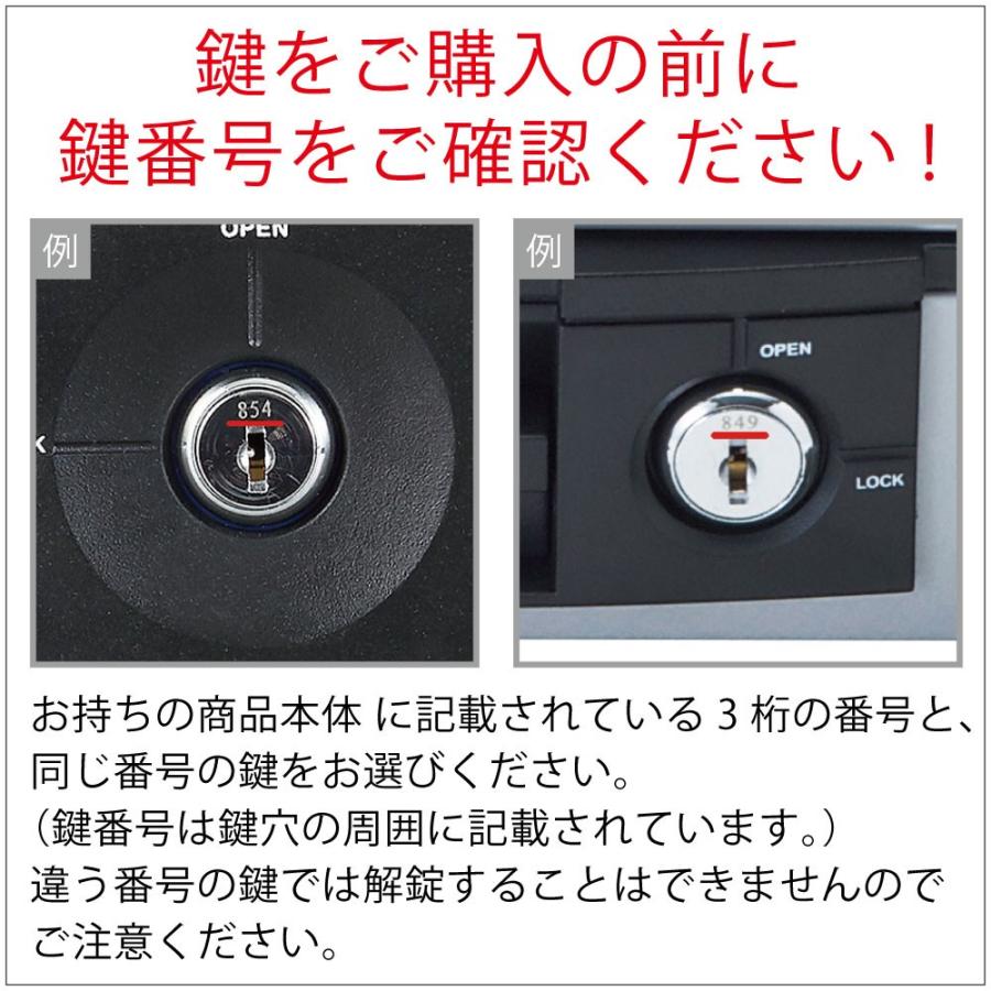 CARL スペアキー KY03(2本入り) [ 金庫 キャッシュボックス CARL スペアキー KY03(2本入り) [ 金庫 キャッシュボックス
