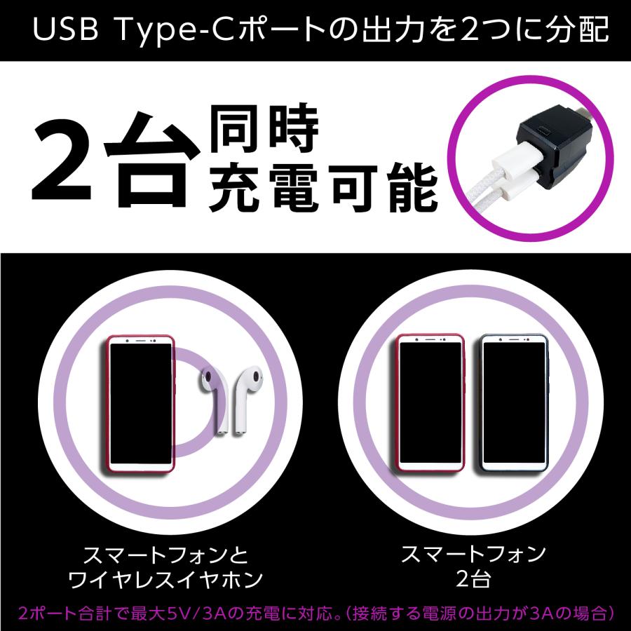 車内用品 USBハブ レインボーイルミ2USBコネクタ CtoCx2 F349 USB-C 2ポート 拡張 充電器 セイワ(SEIWA) 父の日｜carlife｜06