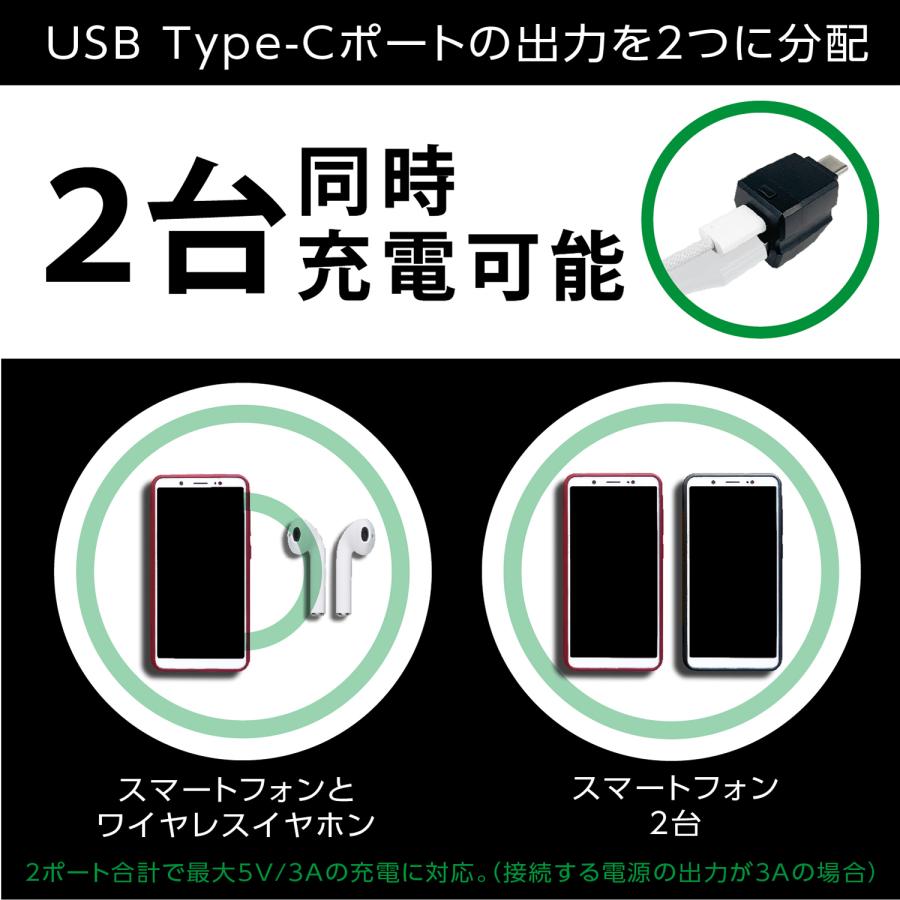 車内用品 USBハブ レインボーイルミ2USBコネクタ CtoC+A F351 USB-C&USB-A 拡張 充電器 セイワ(SEIWA) 父の日｜carlife｜06