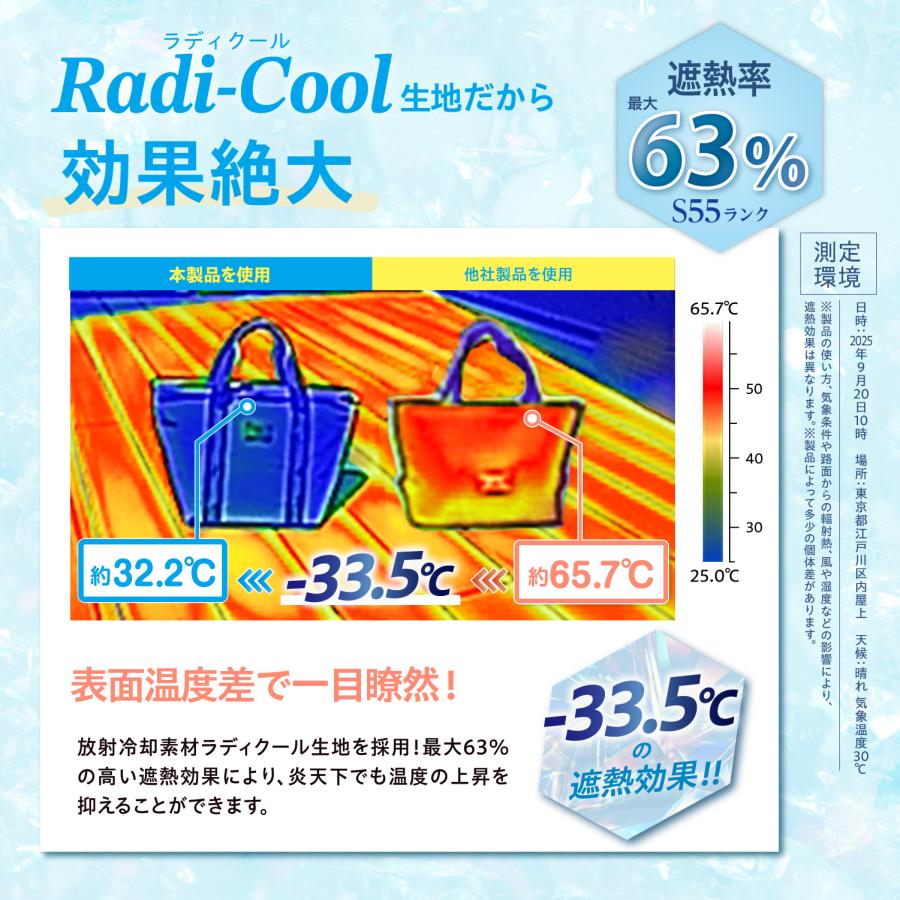 ラディクール生地使用 クーラーバッグ ソフトクーラー [大容量 5.5L] 保冷バッグ ランチバッグ 放射冷却 [遮熱63%] RCP20 ポケット付 防水 セイワ(SEIWA) |  | 02