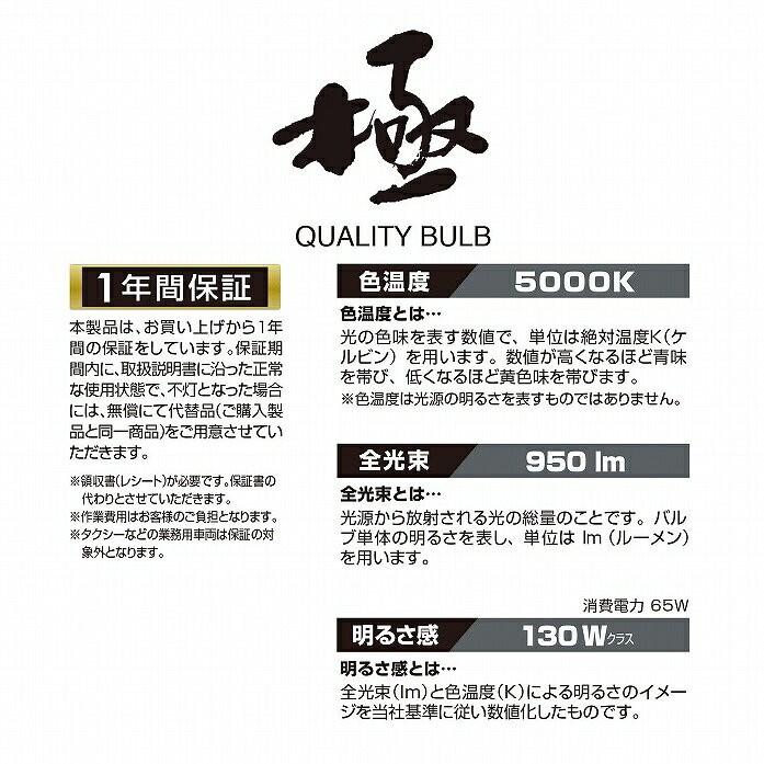 GIGA 車 ハロゲン ヘッドライト ハロゲンバルブ BD629H ザ・ブルー