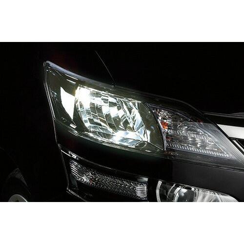 GIGA 車 ハロゲン ヘッドライト BD629N ザ・ブループラス5000K HB4/3